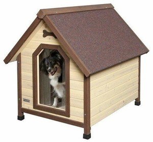 kerbl multiplex et border collie